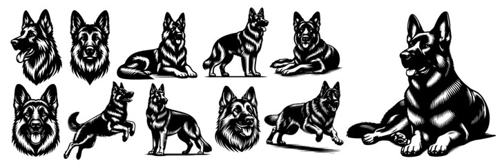 set of shepherd dog illustrations in various poses black vector