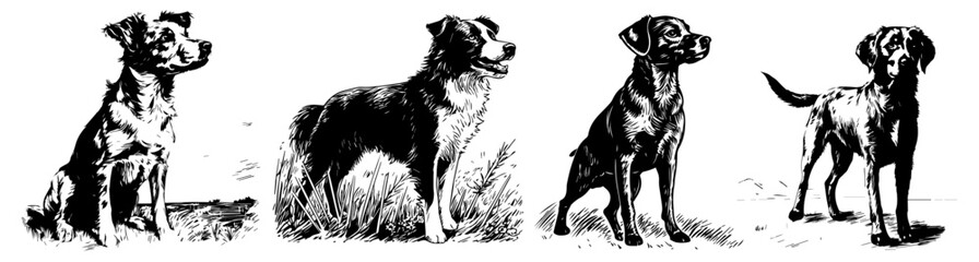 realistic dog vector collection with detailed features black