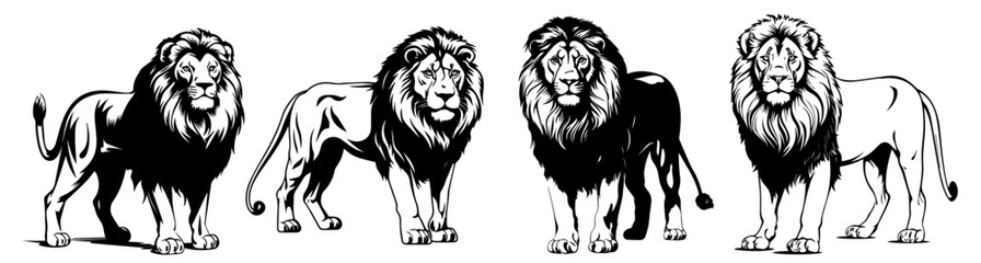 realistic lion in multiple dynamic poses black vector collection © Luka
