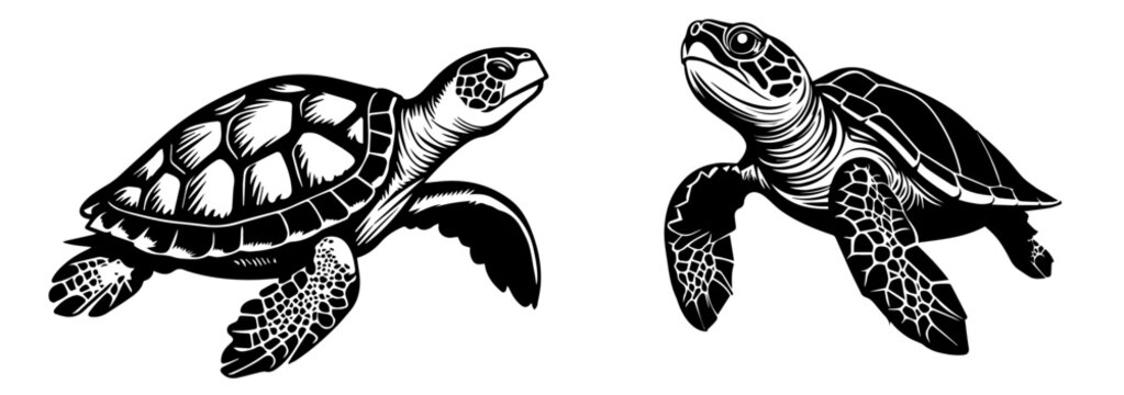 set of line art turtles with simple shapes black vector