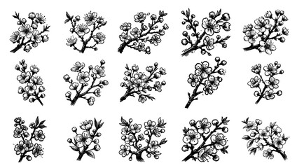 botanical collection of flowering branches in vintage sketch style