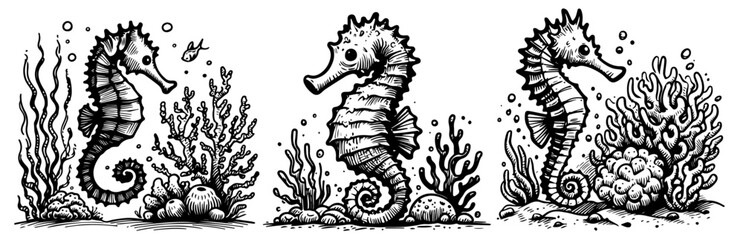 set of seahorse designs with coral reef in black vector, ocean scenery