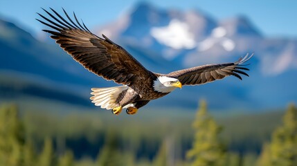 Fototapeta premium Majestic eagle soaring gracefully over the towering peaks of a rugged mountain landscape on a clear serene day Powerful bird of prey in flight