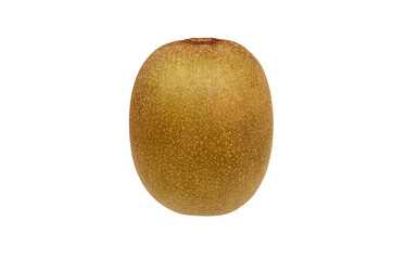 ゴールドキウイ イラスト リアル