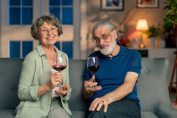 a bright living room with sofa grandma and grandpa drinking red wine from glasses leisure of elderly people happy couple looking at camera