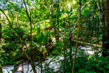 The natural background of the road surrounded by nature, big trees, waterfalls from high mountains and clear sky throughout the adventure journey.