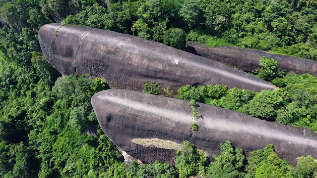 Aerial view of Three whale rocks (Hin Sam Wan) are 3 gigantic rocks sticking out of a cliff: the Father, Mother and Baby Whales in the forest of Bueng Kan province in Thailand.