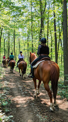 Equestrians riding horses on a trail in the forest