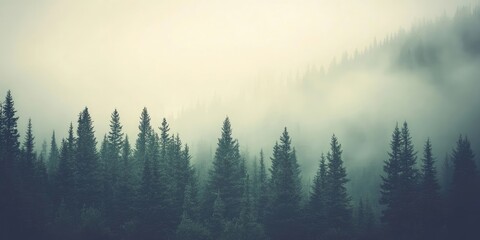 Misty, fog-covered mountain scenery featuring a fir forest and copyspace in a vintage retro hipster style.