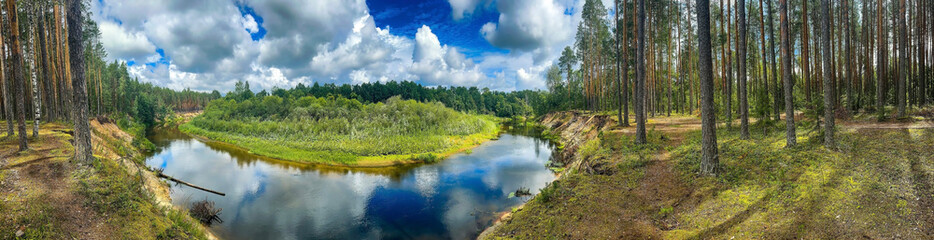 background photo panoramic view small narrow forest river among pine forest in nature reserve, summer landscape