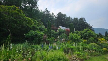 In a green forest full of flowers