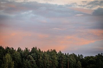 A serene view of a dense forest tree line at dusk with the sky painted soft pinks and purples as the sun sets. Lush green trees contrast with colorful clouds.