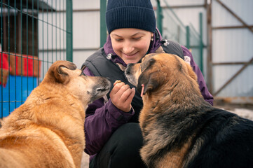 Dog at the shelter. Animal shelter volunteer feeding the dogs.
