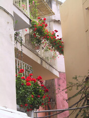 The Scenic Balconies of Positano
