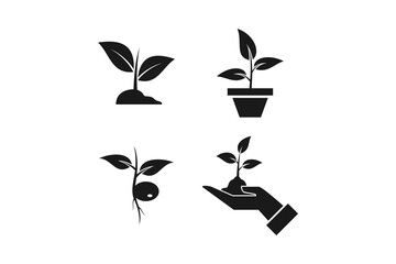 plant seeds icon vector set