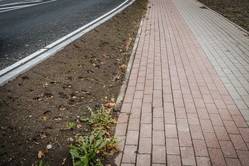 Obraz premium Image of a red brick sidewalk running parallel to the asphalt road. The road has a small dirt shoulder with scattered leaves and sporadically growing plants.