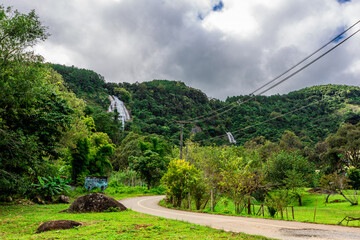 The close-up natural background of green rice fields, behind a large mountain and mist flowing through the blurred foliage, is a natural beauty seen in the countryside