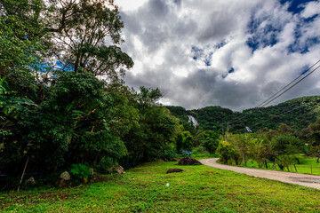 The close-up natural background of green rice fields, behind a large mountain and mist flowing through the blurred foliage, is a natural beauty seen in the countryside