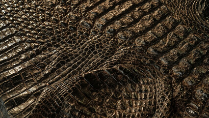 Texture of alligator black color skin.