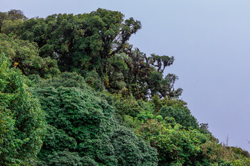 The natural background of the mountain atmosphere, green rice fields and many kinds of plants surrounding, rainbow and a walkway to see the completeness of the ecosystem.
