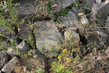 pile of stones in the fields