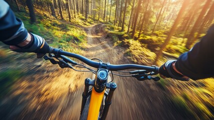 A fast-moving mountain cyclist in a downhill configuration on the bike park trail.