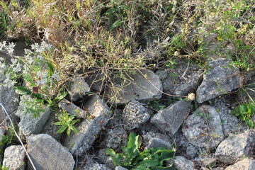 pile of stones in the fields