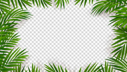 Green Palm Leaf Frame Border with Shadow silhouette on  transparent background,Element IsolatedTropical Coconut Leaves overlay for wall background,Vector nature object decoration for Summer banner