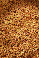 Coffee beans,In the ferment and wash method of wet processing