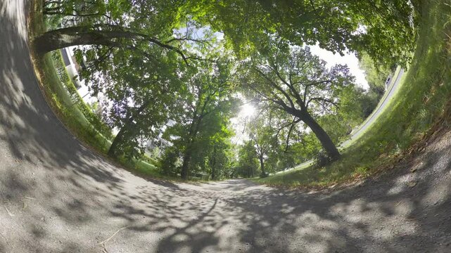 This is a first-person perspective video of rollerblading through a tree-lined park. The video is taken with a fisheye lens, which gives it a wide-angle view. The video starts with the rollerblader