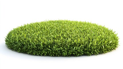 Green lawn on white background. 3D illustration. 