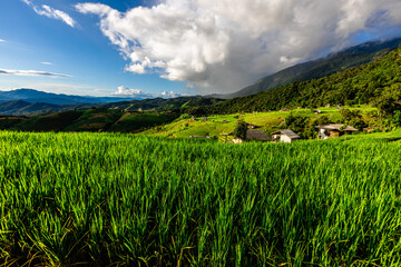 Wallpaper from the top of the mountain, overlooking the panorama, with the wind blowing all the...