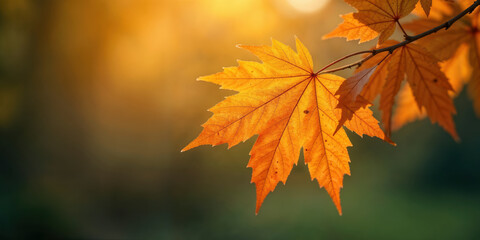 Golden Leaf Embrace-3
