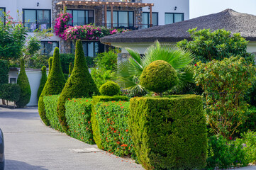 Lush greenery and artistic topiaries line a serene pathway in a vibrant garden on a sunny day