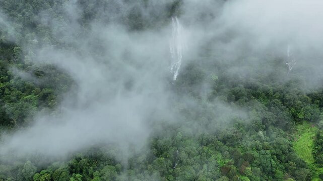 Top view of  village in the lush green rain cloud and foggy cover tropical rain forest mountain during the rainy season. Aerial view of mountain peak with green trees in fog. Beautiful landscape with 