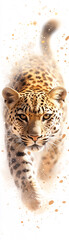 Obraz premium Experience the stunning imagery of a leopard in motion showcasing its grace power and striking features. A perfect representation of wildlife beauty