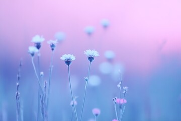 Delicate flowers against soft pink and blue hues.