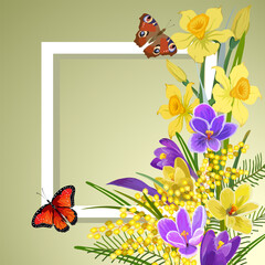 Illustration with frame and flowers.Spring flowers bouquet and frame in vector color illustration.