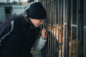 Dog at the shelter. Animal shelter volunteer feeding the dogs.