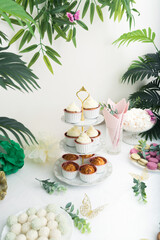 Tasty cupcakes with cream with green plants decoration