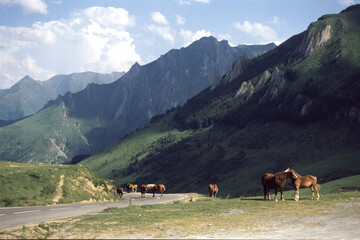 Obraz premium Mountain landscape along the road to Aubisque pass, France