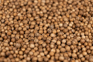Macro Grains Coriander Natural Spice Selective Focus