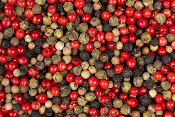 A mixture of different peppercorns white, black, red and green peppers spices.