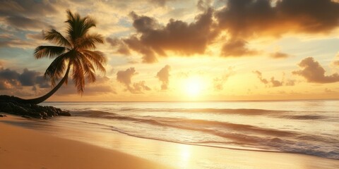 Scenic coral beach with palm tree landscape shoreline panoramic.
