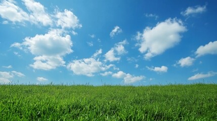 Obraz premium Scenic summertime view of green pastures under a bright blue sky. Ideal for nature-focused designs, with plenty of copy space for your message.