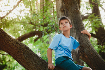A boy climbs a tree in a park during the day
