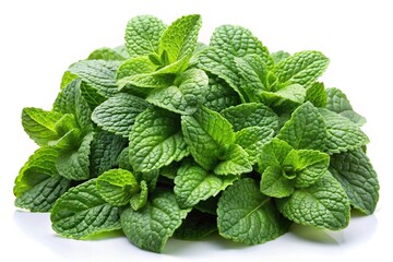 Macro pile of fresh mint leaves isolated on white background, aromatic herb, culinary, refreshing, herbal garnish