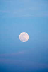 Full moon in blue sky. Supermoon is an astronomical event. Close-up of moon in evening or night sky.