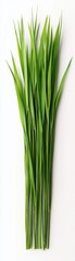 Fresh green grass sprigs arranged beautifully, perfect for gardening, landscaping, or nature-themed projects. Ideal for any design.