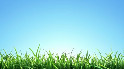Fototapeta premium green meadow on clear blue sky background
